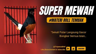 Super Mewah Isian Murai Batu Roll Tembak Bikin,Bikin Murai Apapun Ikut Bongkar Isian