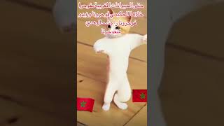 ربحتوا يا أسود اكثر من الكأس كل فرحة و دمعة فرح كانت مصحوبة بدعوة من القلب الله يحفظكم رفعتوا راسنا