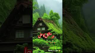 Hadees Bukhari sharif in Urdu #shorts #hadith #islamicpost