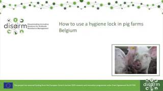 How to use a hygiene lock in pig farms