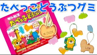 【人気のお菓子】たべっ子どうぶつグミ、販売終了かと思ってたら...!?　#Shorts