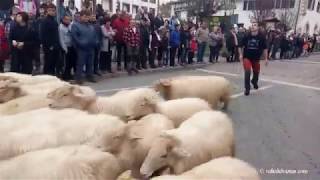 Elizondoko feriek - Ferias de Elizondo 2018