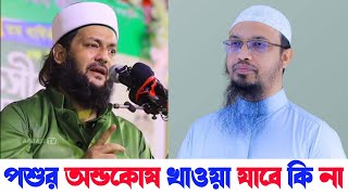 পশুর অন্ডকোষ খাওয়া যাবে কি | হালাল প্রাণীর কি কি খাওয়া যাবে না | শায়খ আহমুদুল্লাহ | আব্বাসী