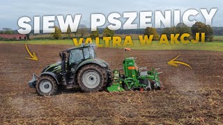 🇵🇱Siew Pszenicy / Gruberowanie 2023! ☆ GR Rupniak ☆ 2X VALTRA T194 & AMAZONE AD 3000 Super ☆ AW ™