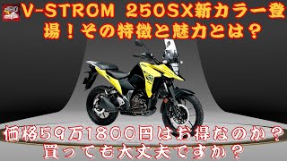 【スズキ『V-STROM 250SX』】『V-STROM 250SX』新カラー登場！その特徴と魅力とは？価格59万1800円はお得なのか？買っても大丈夫ですか？【JBNカーニュース 】