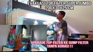 Kuat Juga !!! Tank Ikan Predator Dengan Topfilter Super Besar Upgrade ke Sumpfilter Tanpa kuras. BGR