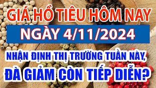 Giá tiêu hôm nay 4/11: nhận định thị trường tuần này, đà giảm còn tiếp diễn?