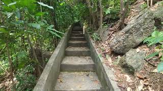 Parque Estadual do Grajaú - RJ (28/02/23)