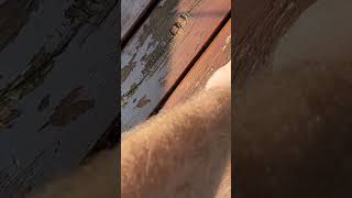 Staining an Old Deck