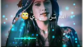 Omani Balochi Status Song With Arabic Music