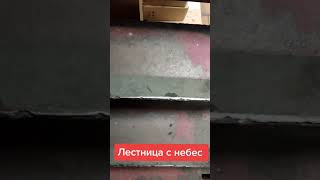 Полет длинною в жизнь