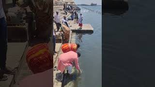 Dwarka triveni ghat#travel#ghat#ytshorts #dwarka #krishna #gujarat