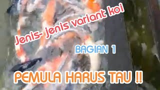 JENIS-JENIS IKAN KOI, PEMULA HARUS TAU!! (BAG.1)