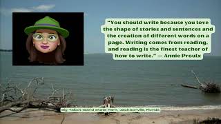 Your Should Write Quote by Annie Proulx