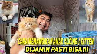 TIPS CARA MEMANDIKAN ANAK KUCING DI RUMAH || DIJAMIN PASTI BISA !!!