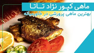 ماهی کپور نژاد تاتا یه نوع ماهی پرورشی خیلییی خوشمزه