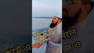 কোন আমল করলে সারা বছর নফল নামাজ ও রোযা আদায়ের সওয়াব পাবে....