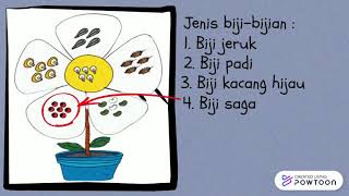 BAHAN ALAMI UNTUK MENGHIAS KARYA 3 DIMENSI