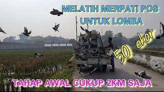 MELATIH MERPATI POS, TAHAP AWAL CUKUP 2KM SAJA