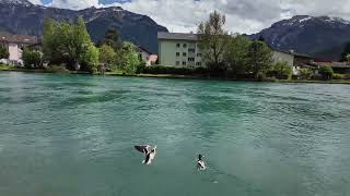 Interlaken, Switzerland