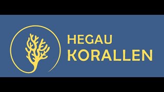 HegauKorallen - Shop-Vorstellung | Der kleine Laden für Korallen und mehr im Hegau