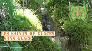 Bivouac Bushcraft Pas De Glace Aux Saints De Glace