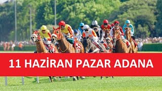 11 HAZİRAN 2023 PAZAR ADANA AT YARIŞI TAHMİNLERİ VE YORUMLARI