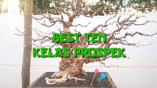 best ten kelas prospek pamnas blora 2024