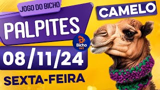 PALPITE DO DIA 08/11/2024 - JOGO DO BICHO 🍀 TODAS AS LOTERIAS 🍀