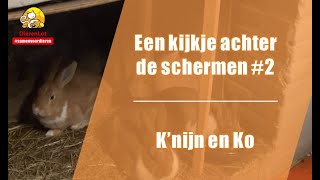 Een kijkje achter de schermen#2 bij K'nijn en Ko - Stichting DierenLot