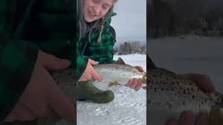 Excited to see how our salmon are doing on the big lake this ice fishing season! 🎣 🧊 #icefishing