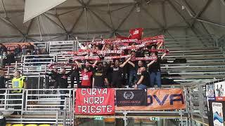 scafati trieste videotifo