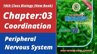 Peripheral nervous system class 10 | Biology class 10 chapter 3| Class 10 new biology book