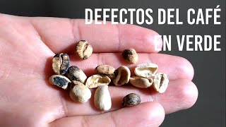 Defectos del Café En Verde