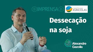 Alexandre Gazolla | Dessecação na soja | Notícias Agrícolas