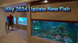 July 2024 Update New Fish