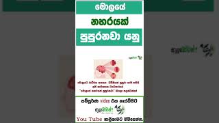 මොලයේ නහර Block වෙන්නේ සහ පුපුරන්නේ කොහොමද?මොලයේ නහර පුපුරන එක වලක්වගන්නේ කොහොමද|MLT AnushikaPerera