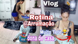 VLOG- ROTINA DE DONA DE CASA/Limpeza...