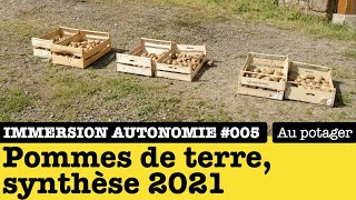 Immersion autonomie : conclusions suite à la récolte de pommes de terre 2021 (partie 3/3)