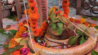 1-6-2024 शिव जल अभिषेक श्रृंगार live दर्शन #shiv #bholenath #india #kedarnath #mahakal हर हर शिव❤