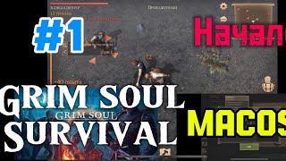 Запустил grim soul на macOS 🖥️ | НАЧАЛО #1 серия | grim soul survival