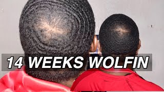 360Waves: 14 WEEKS OF 15 WOLFIN UPDATE 🔥