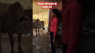 जय गौ माता #viral #trending #youtubeshorts #viralvideo