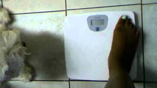 Weigh-In- Wednesday