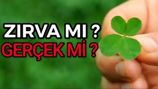 DÖRT YAPRAKLI YONCA ŞANS GETİRİR Mİ ?