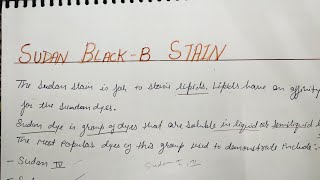 Sudan Black-B Stain