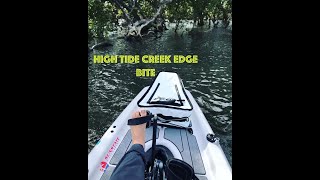 High tide Creek Edge bite