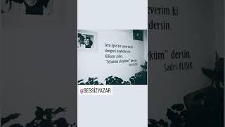 Seni öyle bir severim ki.#sadrialışık #öneçıkar  #sessizyazar #müzik #shorst #keşfet #gece #sevgi