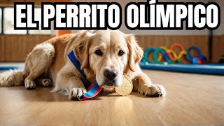 Beacon: El Golden Retriever del Equipo Olímpico de Gimnasia de EE.UU.