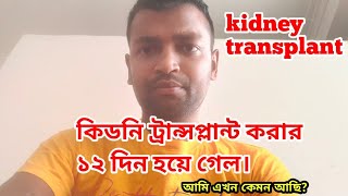 কিডনি ট্রান্সপ্লান্ট করার ১২ দিন হয়ে গেল। kidney transplant surgery #kidney